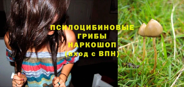 амф Нефтекумск
