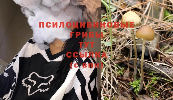 2c-b Алексеевка