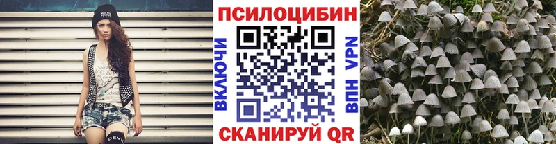 Галлюциногенные грибы Psilocybe  наркота  Ардатов 